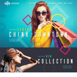 Portfolio showcase images