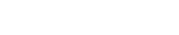 Auto Dealer Force