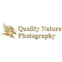 Quality Nature Photography